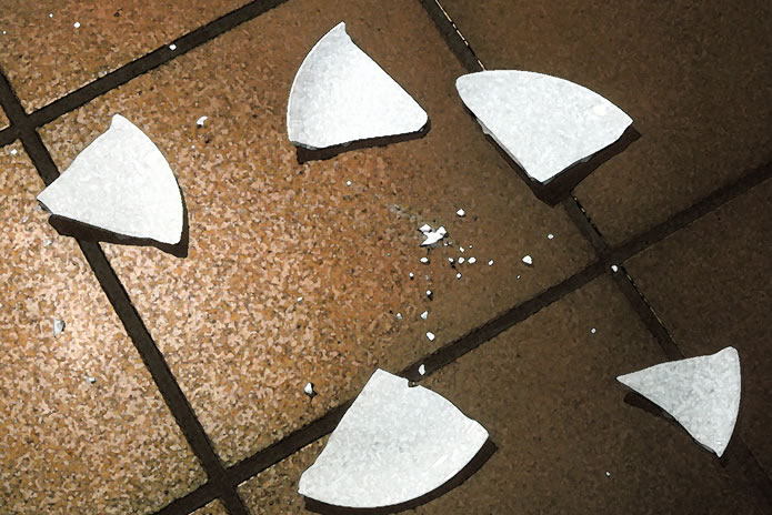 [Broken Dish[1].jpg]